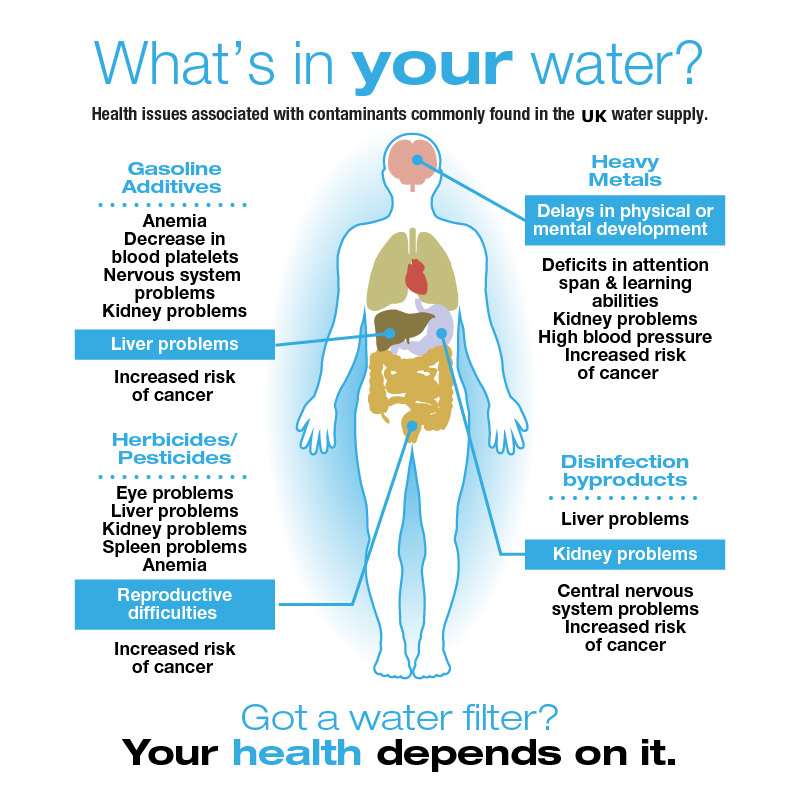 Your water. Type of Water in English. Problems in the Health. What is Water for our Health?. Contaminants.